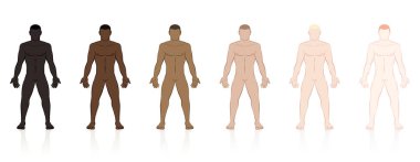 Skin types. Six naked men of different ethnic colors from black to brown to fair. Isolated vector illustration on white background. clipart