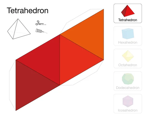 Plantilla Sólida Platónica Tetraedro Modelo Papel Tetraedro Uno Los Cinco — Vector de stock