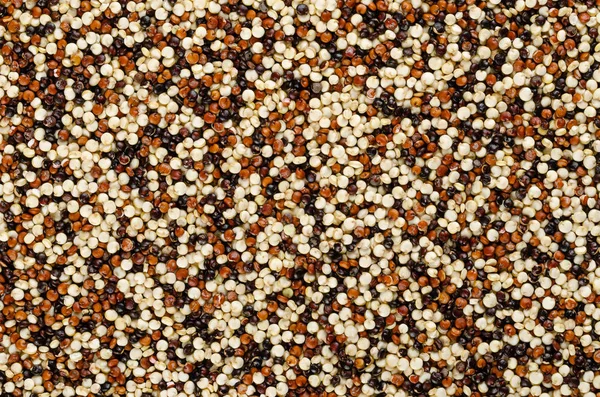 Graines Quinoa Mélangées Surface Haut Contexte Pseudocéréale Fruits Jaunes Rouges — Photo
