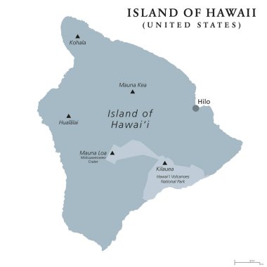 Hawaii adasında, gri renkli siyasi harita. ABD devlet Hawaii Kuzey Pasifik Okyanusu'en büyük Adası. Büyük ada, büyük ben Hawaii Adası. İngilizce etiketleme. Resimde beyaz üzerinde. Vektör