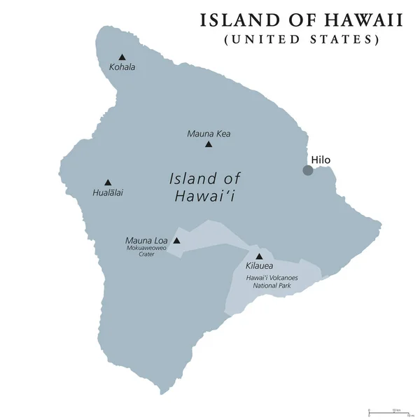 Wyspa Hawaii Szare Kolorowe Mapa Polityczna Największa Wyspa Usa Stanie — Wektor stockowy