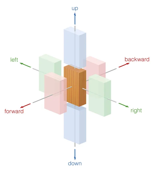 向前和向后 不同的方向移动的木制身体 白色背景上的孤立向量图 — 图库矢量图片