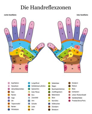 El Refleksoloji. Alman dili. Alternatif acupressure ve fizyoterapi sağlık tedavi. Bölge masaj grafik renkli alanları ile. Numaralandırma ve iç organlar ve vücut parçaları adlarını listelemeye.