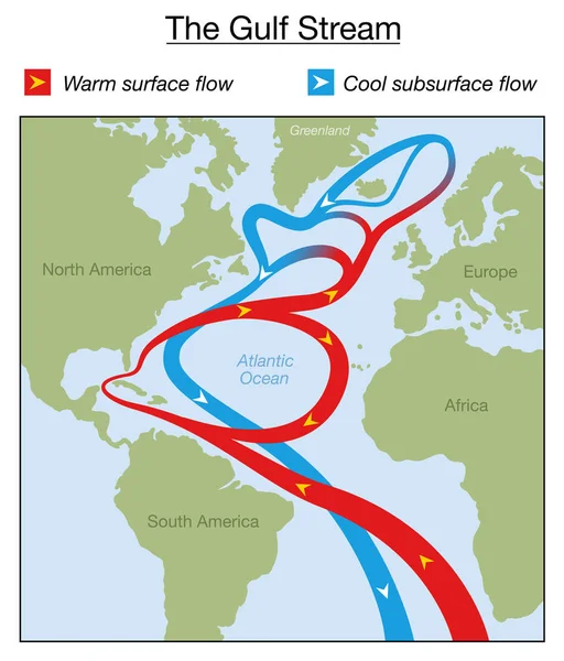 Gráfico Corrente Golfo Superfície Quente Fluxo Subsuperficial Frio Oceano Atlântico —  Vetores de Stock