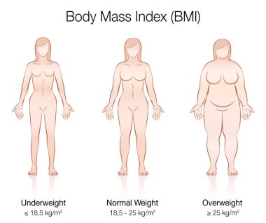 Vücut kitle indeksi BMI. Zayıf, normal ağırlık ve fazla kilolu kadın bedeni. Üç kadın farklı anatomi ile izole vektör çizim.