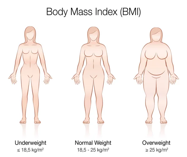 Indice Massa Corporea Bmi Sottopeso Peso Normale Corpo Femminile Sovrappeso — Vettoriale Stock
