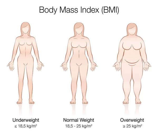 Índice Masa Corporal Imc Bajo Peso Peso Normal Cuerpo Femenino — Vector de stock