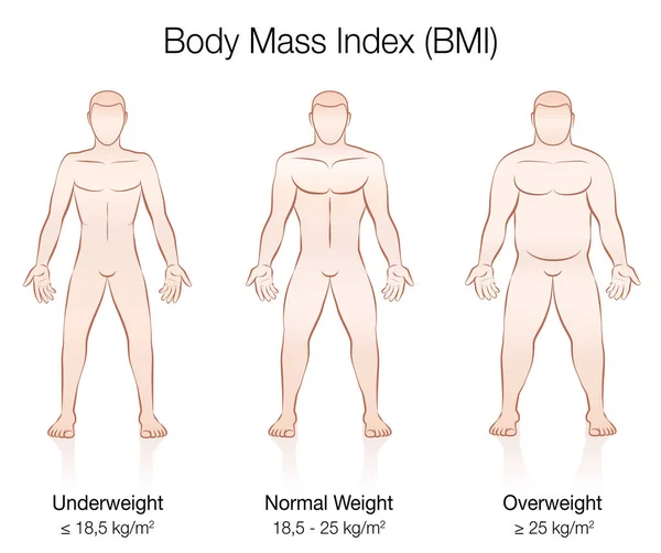 Body Mass Index Bmi Ondergewicht Normaal Gewicht Overgewicht Mannenlichaam Geïsoleerde — Stockvector