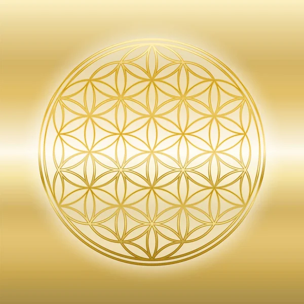 Floarea Aur Vieții Strălucitoare Lucioasă Simbol Aur Fundal Auriu — Vector de stoc