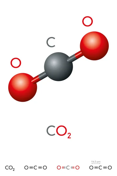 Uhličitého Co2 Model Molekuly Chemický Vzorec Plyn Kyselina Uhličitá Bezbarvý — Stockový vektor