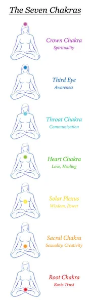 Simbol Chakra Chakras Pelangi Berwarna Tubuh Wanita Dengan Deskripsi Meditasi - Stok Vektor