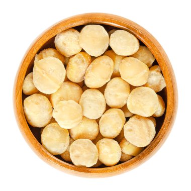 Kavrulmuş ve tuzlu fıstık ahşap kase. Queensland, bush, maroochi, bauple ya da Hawaii fındık olarak da adlandırılır. Sağlıklı snack. İzole makro gıda fotoğraf portre yukarıdan beyaz arka plan üzerinde.