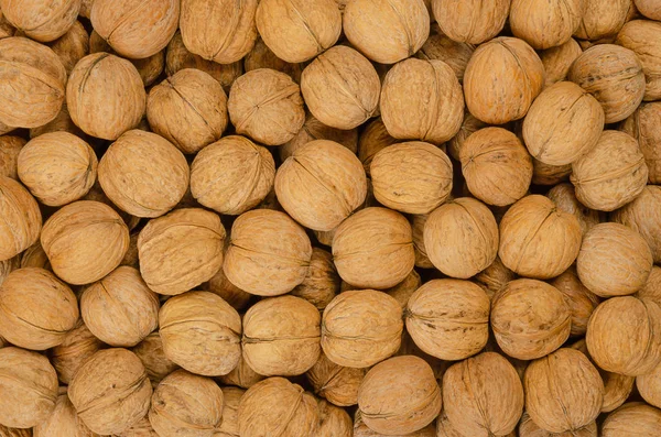 Walnuts Background Unshelled Dried Seeds Common Walnut Tree Juglans Regia — Stock Photo, Image