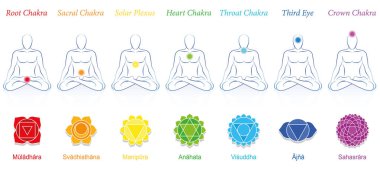 Chakras of a meditating man. Symbols with sanskrit names and appropriate colors. Isolated vector illustration on white background. clipart