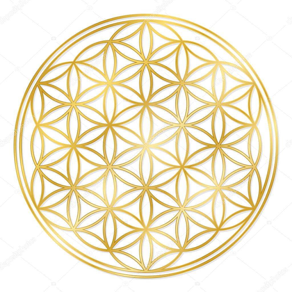 Golden Flower of Life, used for decoration or golden pendant. Geometrical symbol on white background.