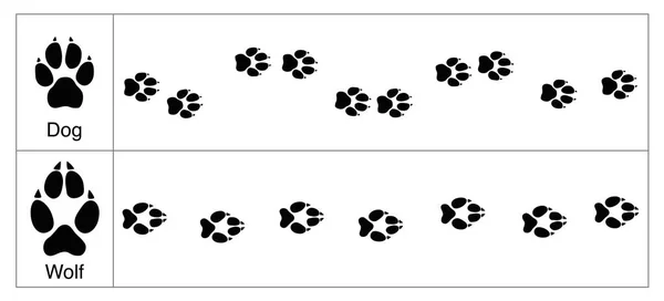 Сравнения Следы Волка Собаки Круглые Маленькие Следы Собак Овальные Большие — стоковый вектор