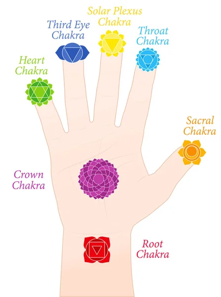 Palm Chakran Symboler Och Namnen Viktigaste Chakran Motsvarande Delar Händerna — Stock vektor