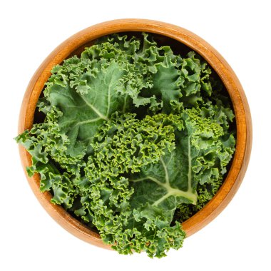 Taze kıvırcık kale ahşap kase içinde bırakır. Ayrıca İskoç kale, bir yaprak lahana, Brassica oleracea denir. Yenilebilir yeşil ve sağlıklı sebze. İzole makro gıda fotoğraf portre yukarıdan beyaz arka plan üzerinde.