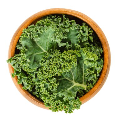 Fresh curly kale leaves in wooden bowl. Also called Scots kale, a leaf cabbage, Brassica oleracea. Edible green and healthy vegetable. Isolated macro food photo closeup from above on white background. clipart