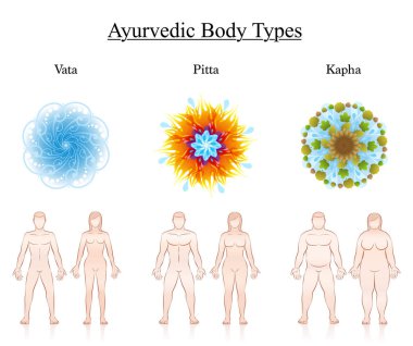Vücut Anayasa tipleri. Ayurveda dosha sembolleri - vata, pide, kapha çiftler gösterimi ile. Beyaz izole vektör çizim.
