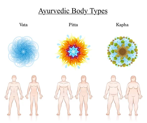 Tělesné Typy Ústavy Ájurvédské Dosha Symboly Vata Pitta Kapha Ukázkou — Stockový vektor