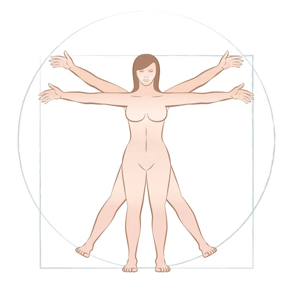 Vitruvian Vrouw Heilige Geometrie Grafische Kunst Anatomische Verhoudingen Vertegenwoordigd Door — Stockvector