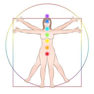 Vitruvius kadın. Kadın bedeni yedi Ana Çakralar ile. Beyaz arka plan üzerinde izole vektör çizim.