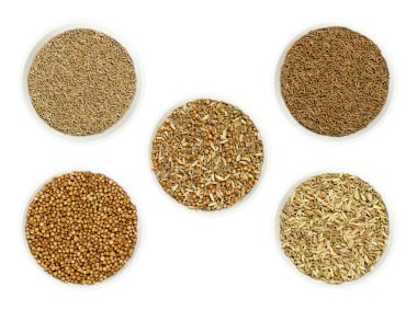 Ekmek baharat karışımı orta, onun tek malzemeler anason, kimyon, kişniş ve rezene tohumu kase çevrili. Kurutulmuş baharat ekmek lezzet için. Beyaz arka plan üzerinde Yukarıdaki fotoğraf portre.