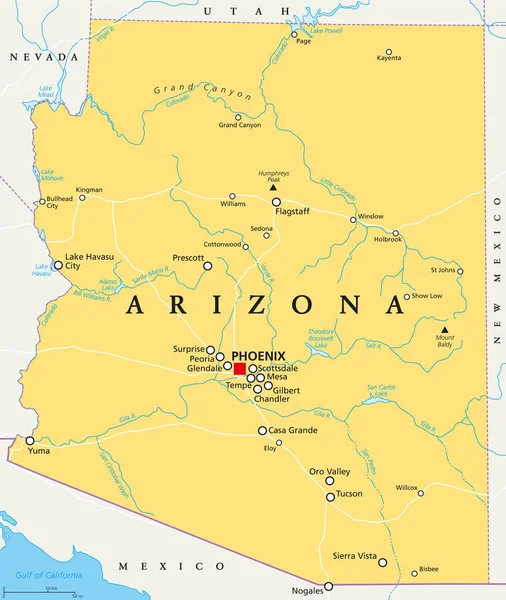 Arizona Başkenti Phoenix Önemli Şehirler Nehirler Göller Ile Siyasi Harita — Stok Vektör