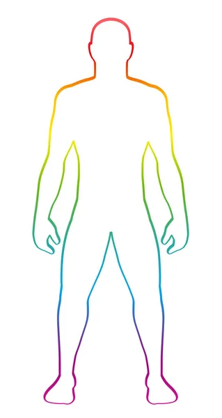 男性肌肉发达的体型 彩虹梯度着色的人剪影 大纲向量例证在白色背景 — 图库矢量图片