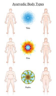 Ayurveda vücut Anayasa sembolleri Vata pide Kapha çift türleri