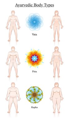 Ayurveda Body Constitution Types Symbols Vata Pitta Kapha Couple clipart