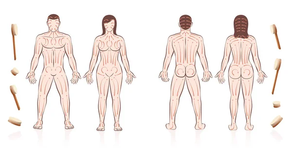 Corpo pele escovação amor casal escova traços — Vetor de Stock