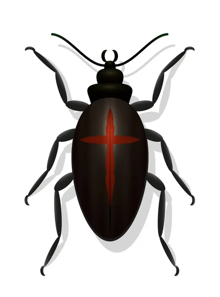 Janda Hitam Spesies Kumbang Kepunahan - Stok Vektor