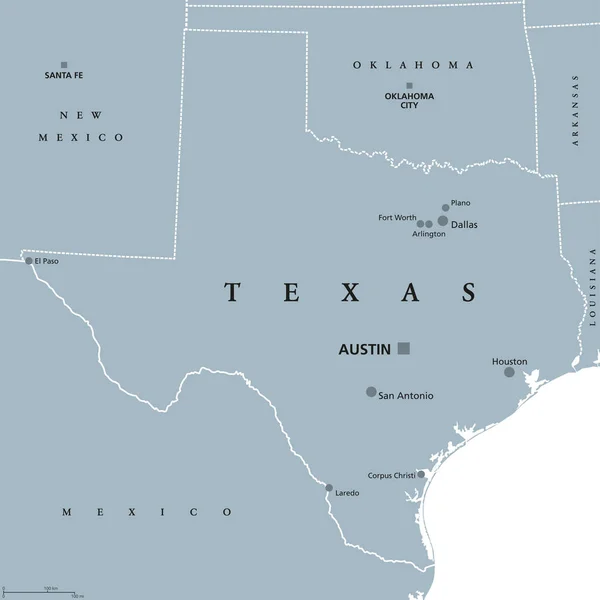 Mapa político de Texas Estados Unidos — Vector de stock