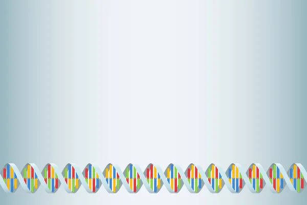 Ζεύγη βάσης της διπλής έλικα του DNA Strand — Διανυσματικό Αρχείο