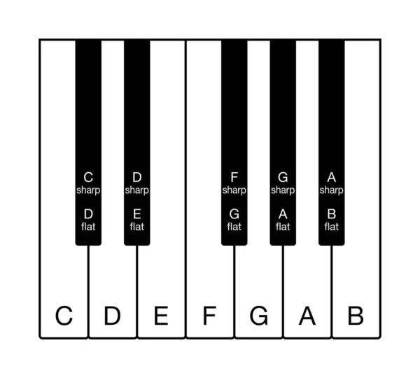 Двенадцатитоновая хроматическая шкала на музыкальной клавиатуре — стоковый вектор