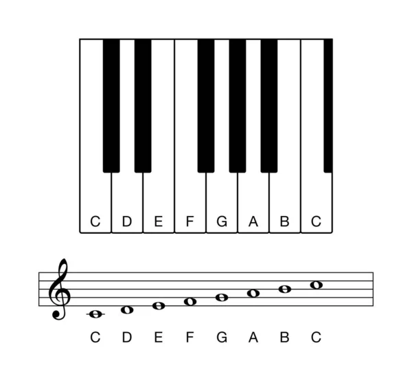 Октава C основной шкалы на персонале и клавиатуре — стоковый вектор