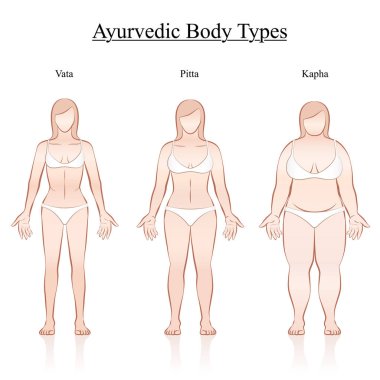 Kadın vücut anayasa türleri - ayurvedik tipoloji - vata, pide, kapha. Kadınların izole anahat vektör illüstrasyon - frontal görünüm - farklı anatomi.