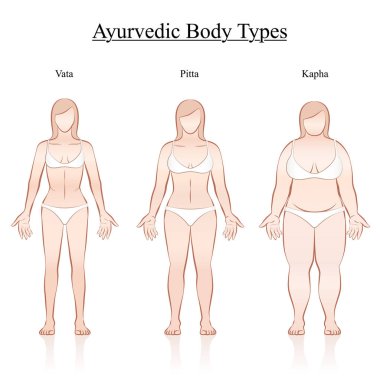 Female body constitution types - ayurvedic typology - vata, pitta, kapha. Isolated outline vector illustration of women - frontal view - different anatomy. clipart