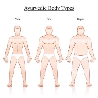 Erkek vücut anayasa türleri - ayurvedik tipoloji - vata, pide, kapha. Erkeklerin izole anahat vektör illüstrasyon - frontal görünüm - farklı anatomi.