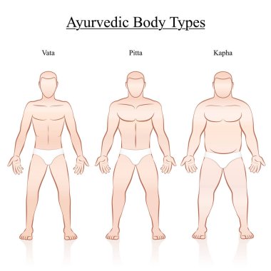 Male body constitution types - ayurvedic typology - vata, pitta, kapha. Isolated outline vector illustration of men - frontal view - different anatomy. clipart