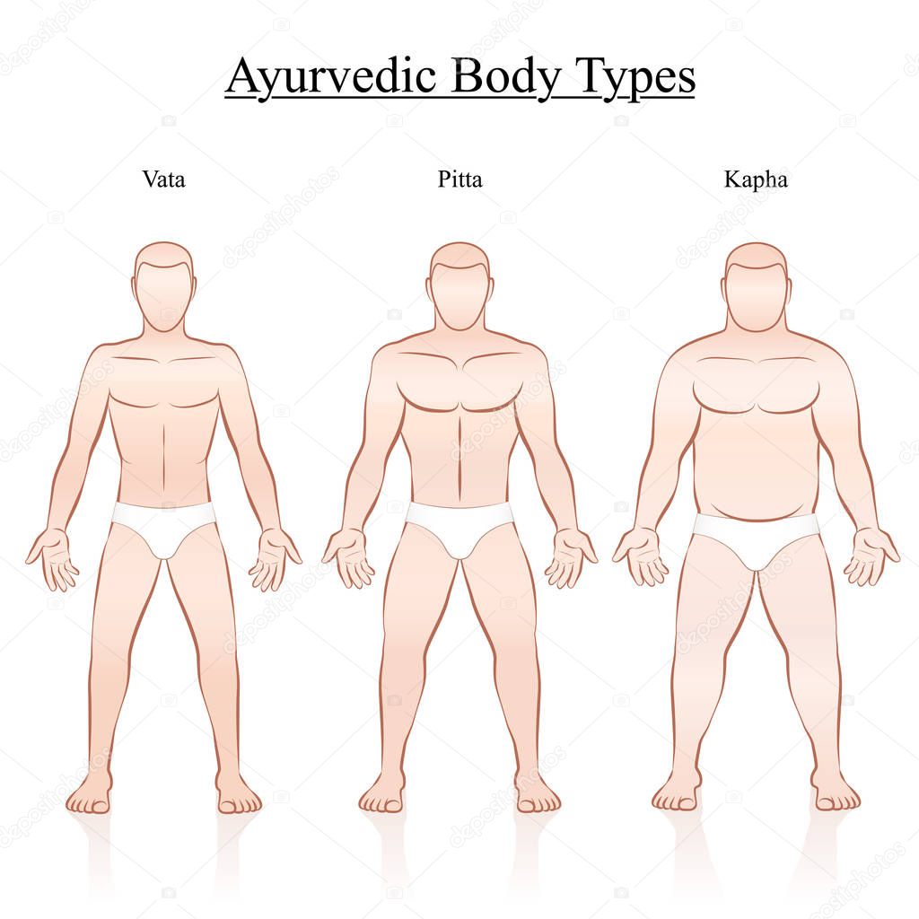 Male body constitution types - ayurvedic typology - vata, pitta, kapha. Isolated outline vector illustration of men - frontal view - different anatomy.