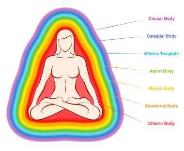 Aura cesetleri. Gökkuşağı renkli etiketli bir kadın vücudunun katmanları. Eter, duygusal, zihinsel, astral, göksel ve nedensel tabaka. Beyaz arka planda yalıtılmış vektör çizimi.