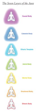 Meditasyon eden bir yoga kadınının yedi aura bedeni haritası. Etiketli grafik - eter, duygusal, zihinsel, astral, göksel ve nedensel katman bir şablon. Farklı gökkuşağı renkli auralar. Vektör beyaz.