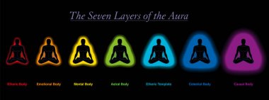 Meditasyon cubuä u bir adamÄ±n aura tabakalarÄ±. Eter, duygusal, zihinsel, astral, göksel ve nedensel vücut bir şablon. Yedi farklı gökkuşağı renkli auralar. Siyah arka planda vektör.