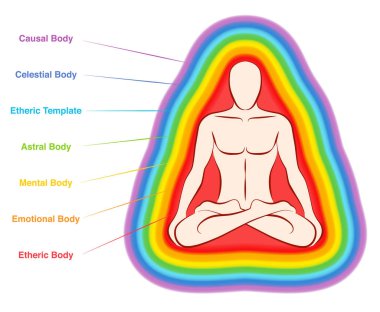 Aura cesetleri. Gökkuşağı renkli etiketli bir erkek vücudunun katmanları. Eter, duygusal, zihinsel, astral, göksel ve nedensel tabaka. Beyaz arka planda yalıtılmış vektör çizimi.
