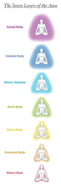 Sju Aura organ diagram över en mediterande yoga man. Märkt diagram-eteriska, känslomässiga, mentala, astrala, himmelska och kausala skikt en mall. Olika regnbågsfärgade Auras. Vektor vit. — Stock vektor