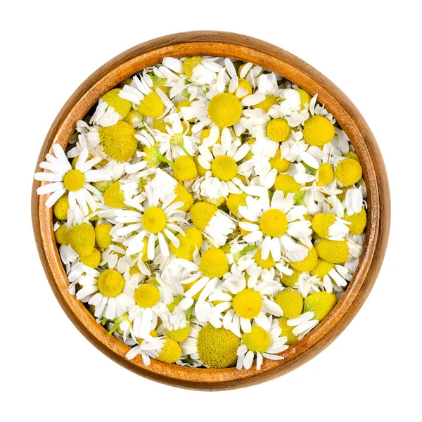 Chamomile blossoms, camomile flowers in wooden bowl — Stock Photo, Image