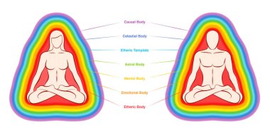 Aura katman çizelgesi. Meditasyon yapan yoga yapan bir çiftin yedi renkli ve etiketli vücudu. Eterik, duygusal, zihinsel, astral, göksel ve nedensel katman. Beyaz arkaplanda vektör illüstrasyonu.